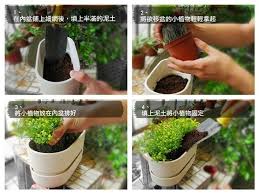 北歐櫥窗 園藝大師香草橢圓花盆 白 plants nordic