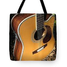 Zager Guitars | Easy Play Custom Guitars
