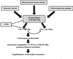 The Mechanism Of Action Of Rivaroxaban An Oral Direct Factor Xa Inhibitor Compared With Other Anticoagulants Semantic Scholar