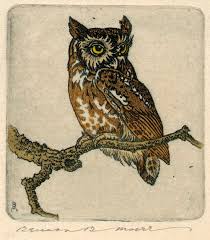 Superb Owls | Smithsonian Institution