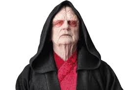 Image result for Cynorkis brevicalcar