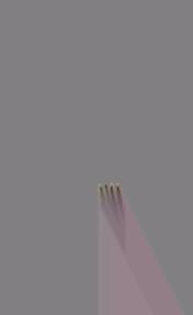 Image result for Isonema infundibuliflorum