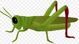 Various formats from 240p to 720p hd (or even 1080p). Ant Cartoon Png 1600x900px Grasshopper Animal Figure Ant And The Grasshopper Cricket Cricketlike Insect Download Free