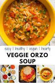 Vegetable Orzo Soup Cozy And Delicious Alena Menko Recipe Healthy Soup Recipes Quick Soup Recipes Hearty Vegetarian Soup