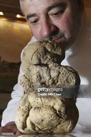 378 Truffle China Stock Photos, High-Res Pictures, and Images