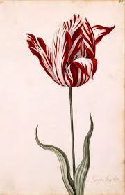 Flowers from 1970 can't last forever #flowersfrom1970. Botanic Luxury The 5 Most Expensive Flowers In The World