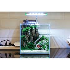 Memang ikan hias itu menjadi pasalnya harga ikan ini kan memang mahal dan perawatannya sebenarnya murah saja asal tahu ilmunya. Harga Aquarium Terbaik Juli 2021 Shopee Indonesia