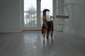 Image result for site:byggahus.se golvplank