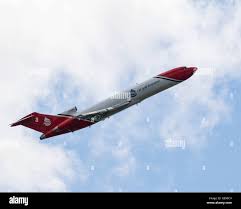 Image result for Elfenbein 1992 Fleet