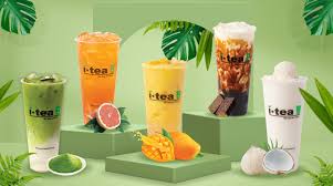 Image result for Itea
