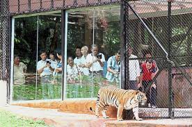 Zoo taiping & night safari. Welcome Back Taiping Zoo And Night Safari Has Now Reopened For Business News Rojak Daily