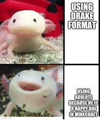 We did not find results for: Axolotl Memes Gifs Imgflip