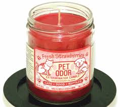 I love these pet odor exterminator candles, they work great to help fight the odor from our pet rats. Specialty Pet Products Pet Odor Candle