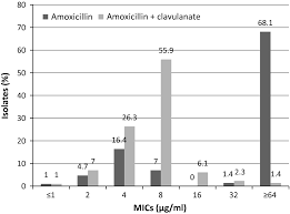 Amoxicillin Current Use In Swine Medicine Burch 2018