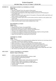 Don't worry, this internship cv is available for free download in word. Commercial Intern Resume Samples Velvet Jobs