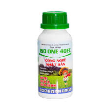 Iso one 40EC