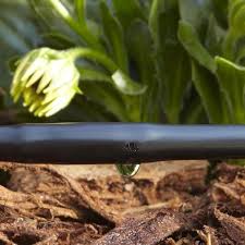 Marking pipe lines and intersections 2. Drip Irrigation System Buying Guide Lowe S