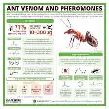 Periodic Graphics Metal Air Batteries Present And Future Biological Chemistry Chemistry Pheromones