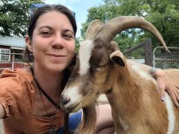 Gur Burg, a German farmer who has a farm where he raises a number of  animals and birds, says that of all the animals, this cow used to sleep  this way above