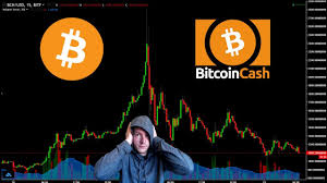 Bitcoin cash (bch) is an alternative to bitcoin and one of the most valuable cryptocurrencies in the world. Bitcoin Cash Vs Bitcoin Which One Is Better For Investment