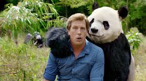 I was expecting a picture. Panda Freek Vonk Franziska Loeding