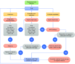Image result for Parapneumonic Effusion
