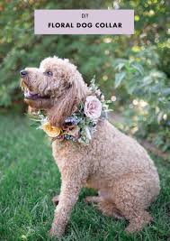 Diy Floral Dog Collar Green Wedding Shoes Floral Dog Collars Wedding Dog Collar Dog Flower Collar
