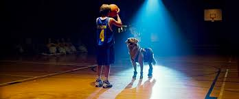 Actually Air Bud Sucks At Basketball Mel Magazine