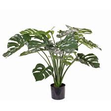 You can easily arrange this tropical houseplant in your favorite. Fake Philodendron Monstera Deliciosa Arela Green 33 85cm Fake Plants