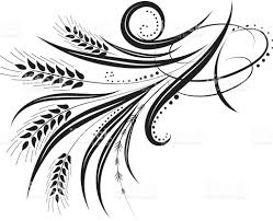 Black And White Vector Art Free Calligraphic Wheat Flourishes Vector Illustration Royalty Free Stock Vector Art Vector Illustration Vector Art Free Vector Art