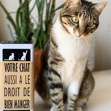 Le Kit A Croquettes Pour Chat Maison Cookat Une Boite En Metal Un Moule En Silicone De 800 Croquettes Et Un Guide De Recettes Www Co Cats Animals Cinema