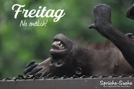 Check spelling or type a new query. Freitag Status Affe Spruche Suche