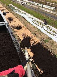 Add a lot to make new beds, then very little in subsequent years. No Till Flower Farming Part 1 Using Cardboard And Compost