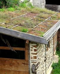 Toits Vegetaux Jardin Des Petites Ruches Toit Vegetalise Toit Vegetal Abri De Jardin