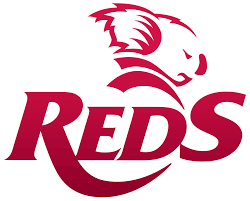 Queensland reds on wn network delivers the latest videos and editable pages for news & events, including entertainment, music, sports, science and more, sign up and share your playlists. Queensland Reds Wikipedia