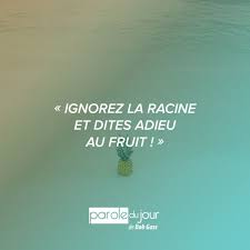 Ignorez La Racine Et Dites Adieu Au Fruit Parole Du Jour Proverbes Et Citations Parole