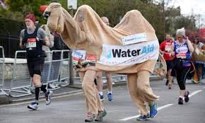 But assuming a horse did enter a marathon, how fast could it run? London Marathon A Brief History Running The Guardian