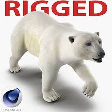 Polar Bear 3d Model Rigged For Cinema 4d Cinema 4d Polar Bear Polar