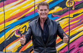 In the 1970s, the hoff had a thriving tv career playing dr. David Hasselhoff To Play Himself In New German Show Entertainment Insidenova Com