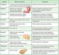 15 Best Body System Images Body Systems Free Presentation