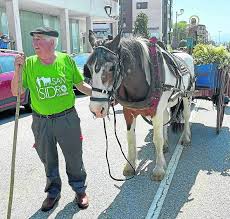 Adiós a 'Gini' la yegua más famosa de Molleda