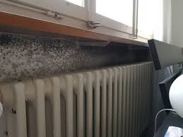 Muss die heizung wieder komplett runtergefahren werden vor dem. Schimmel Gefahrlich Nahe Bett Gesundheit Wohnung Haus