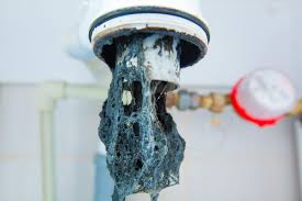 a bathroom sink, shower and drain