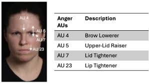 Does a Face Speak for Itself? Emotion Recognition Technologies and  Explainable AI
