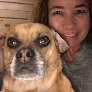 Find a Pet Sitter in West Glover, VT