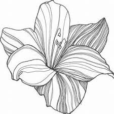 Cool And Easy Flowers To Draw Cool Simple Flower Designs Flower Sketches Flower Drawing Tumblr Flower Drawing