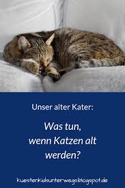 Einschläfern darf nur ein approbierter tierarzt/ eine approbierte tierärztin. Kstenkidsunterwegs Einschlafern Einschlfern Befrchteten Altwerden Geliebte Tierarzt Haustier Konnten Unseren Altsein Nehme Katten Dierenarts Honden