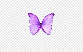 Watercolor butterflies clipart, butterfly png, wedding, digital art, bridal shower, for blog banner lagartixashop. Butterfly Purple Color Moth Dream Purple Butterfly Png Purple Butterfly Butterfly Drawing Butterfly Black And White