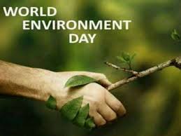 विश्व पर्यावरण दिवस 5 जून #विश्व_पर्यावरण_दिवस_ save environment save life. Qfirnbvu3l6om