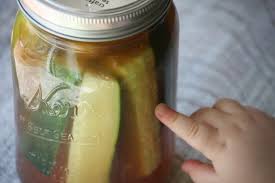 Discover hundreds of ways to save on your favorite products. This Girl Loves Her Maltese Slouchy Tee Pickling Recipes Homemade Pickles Salt Free Recipes